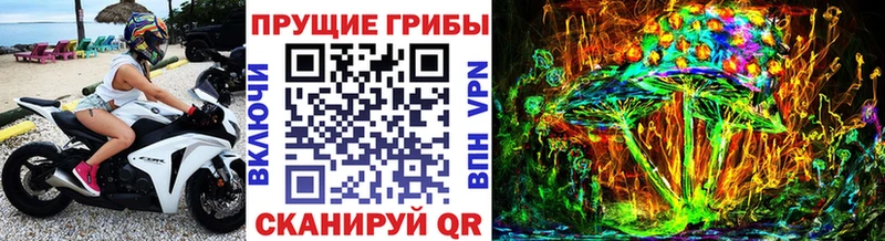 Псилоцибиновые грибы мицелий  Тимашёвск 